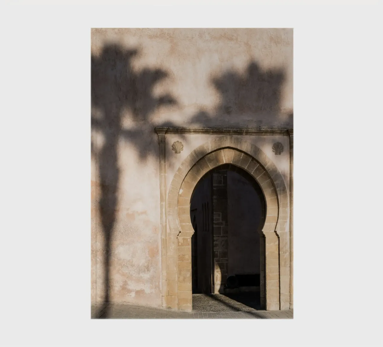 Shadow of a tree on the wall diario da photolovers