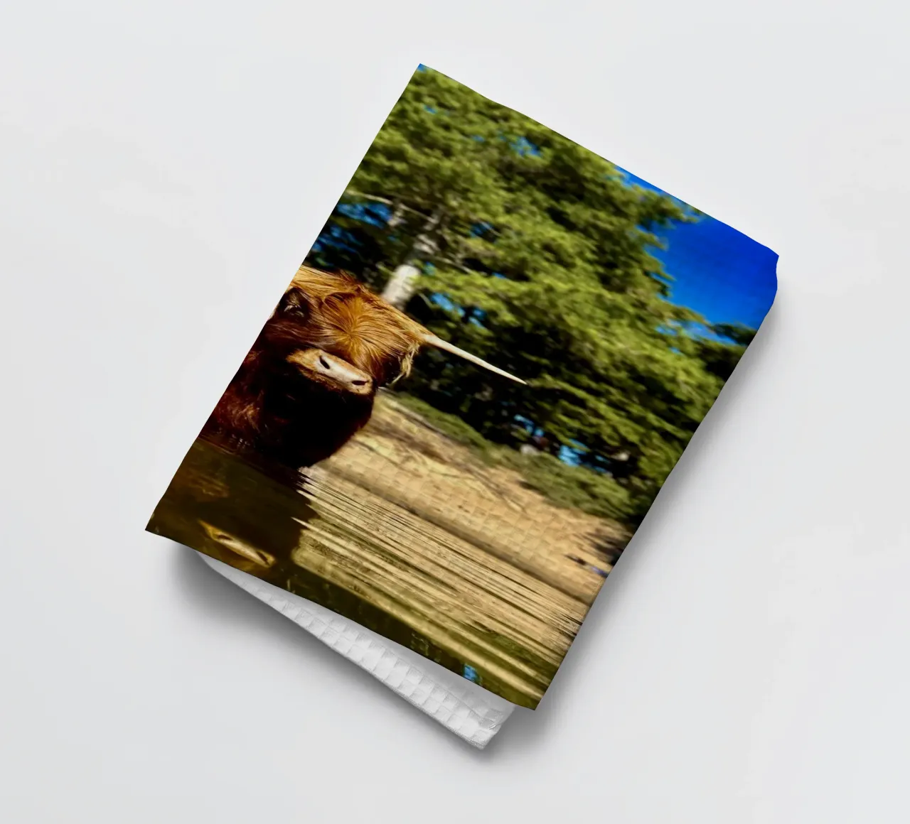 Mucca delle Highlands canovaccio da cucina da RealLifeMoments