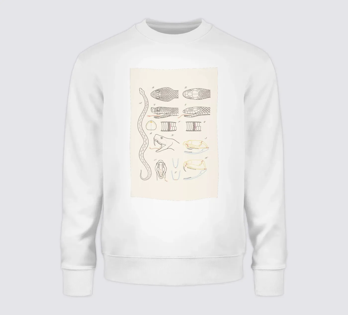 Serpent felpa da Astër