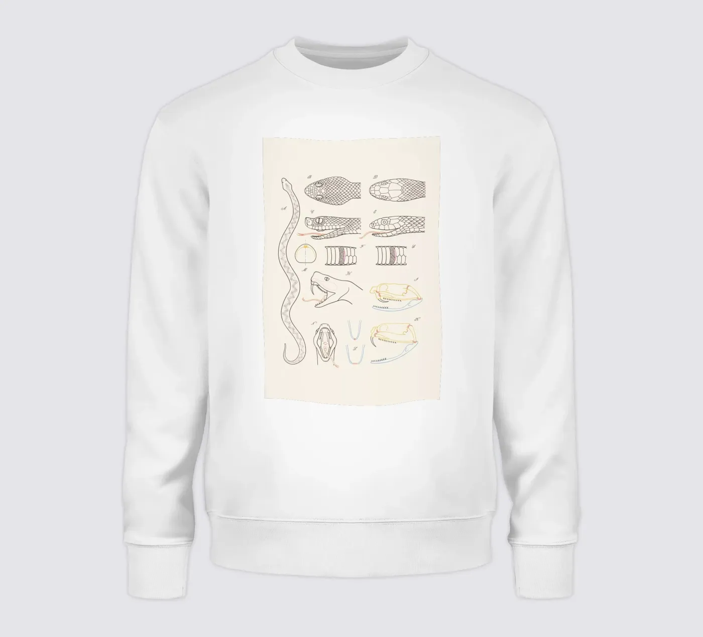 Serpent felpa da Astër