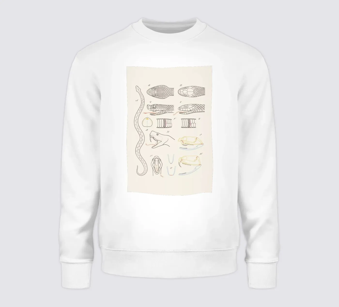 Serpent felpa da Astër