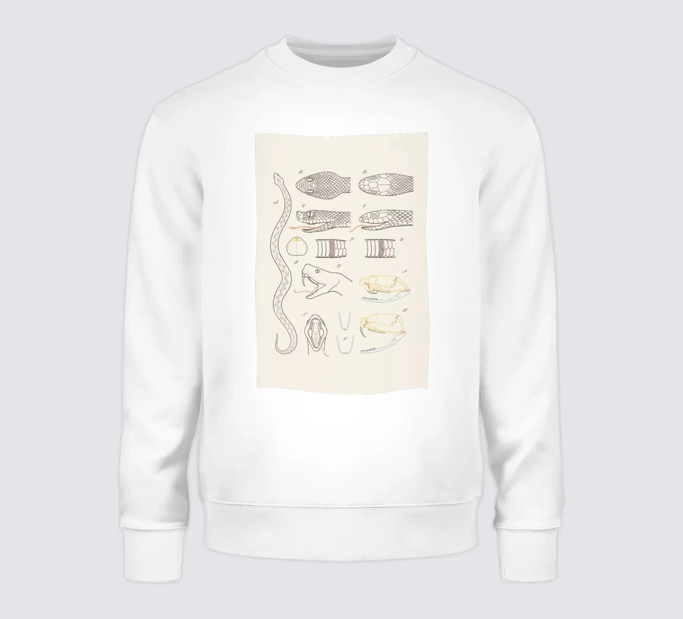 Serpent felpa da Astër