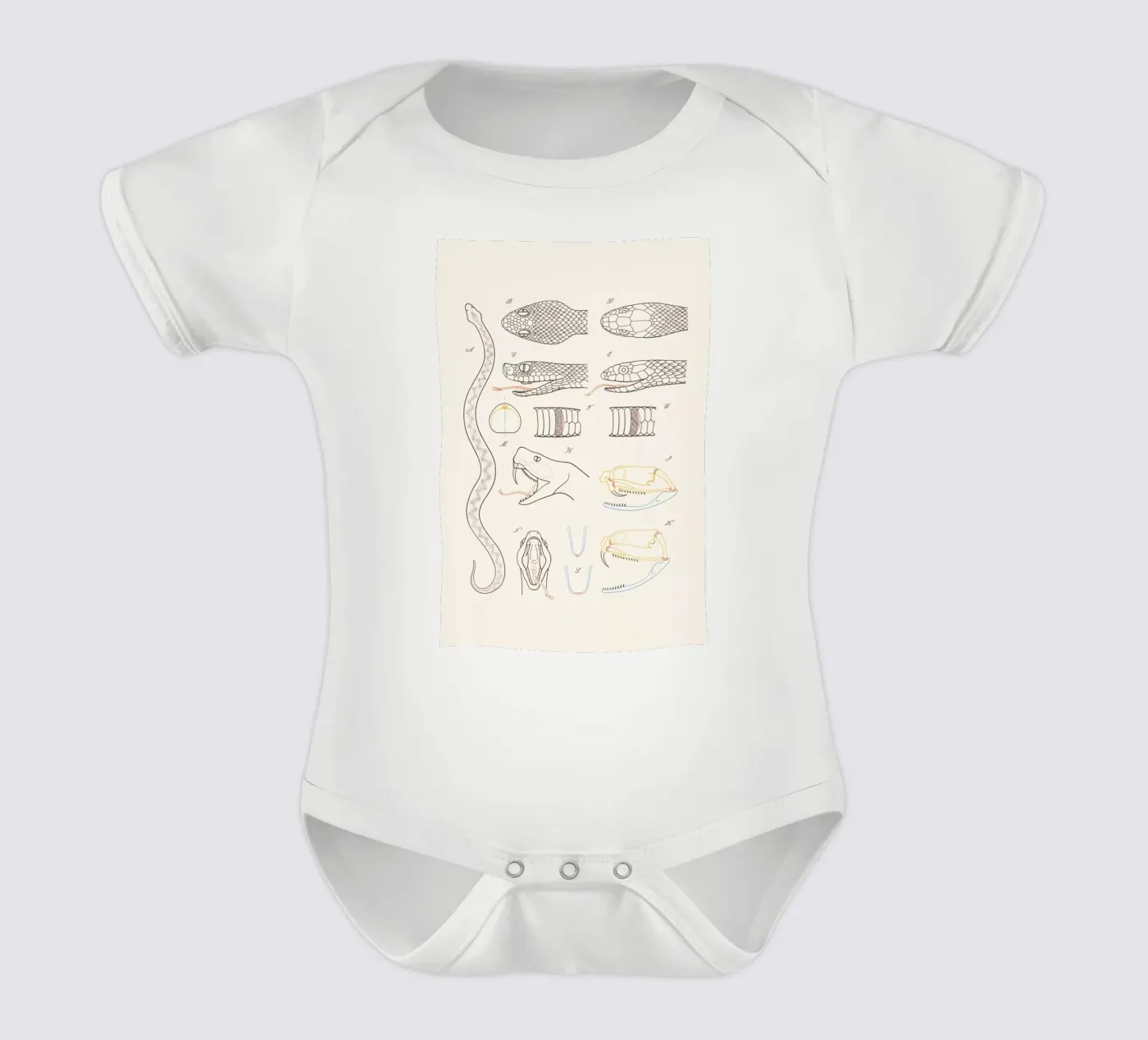 Serpent body bébé de Astër