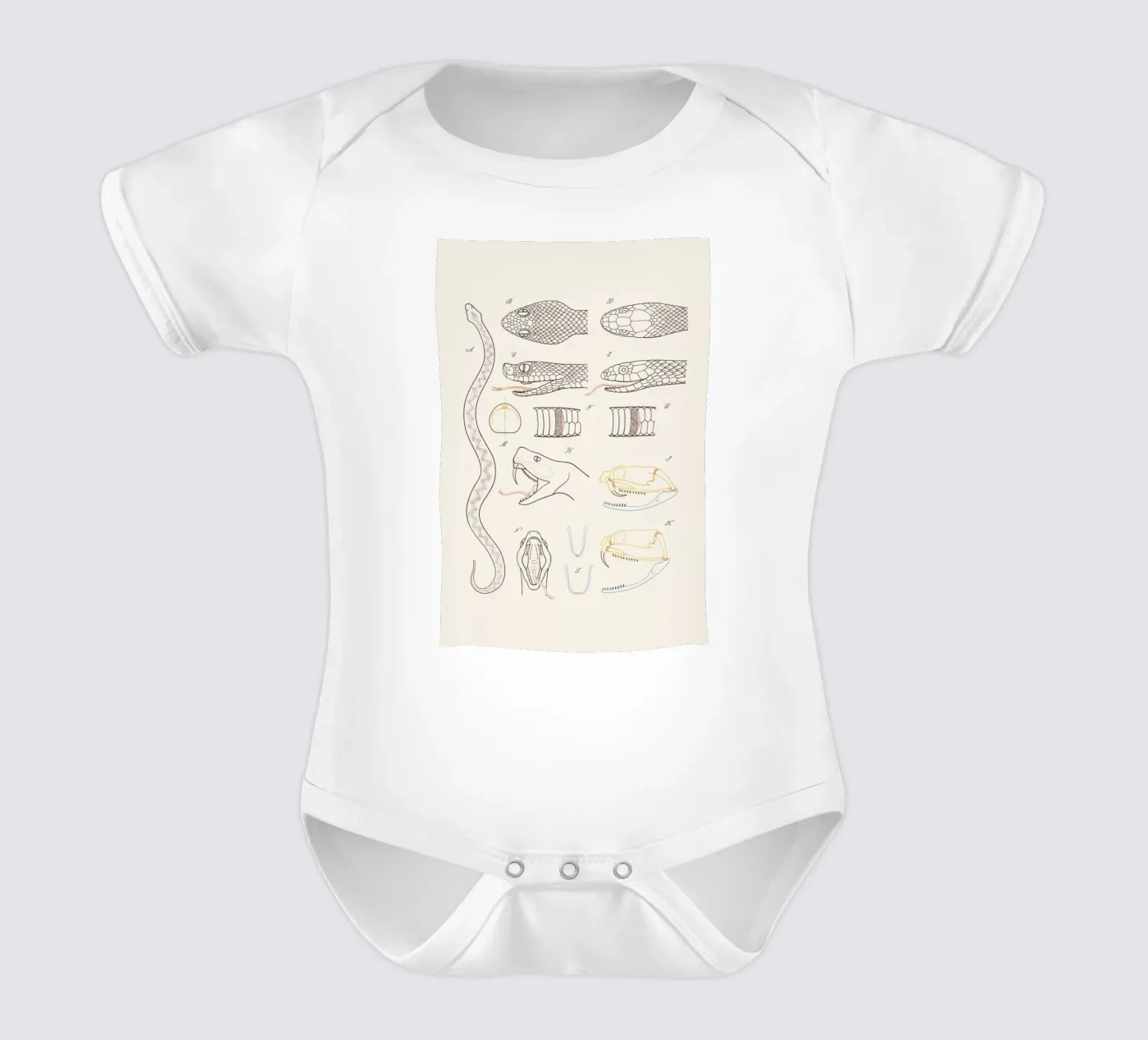 Serpent body bébé de Astër