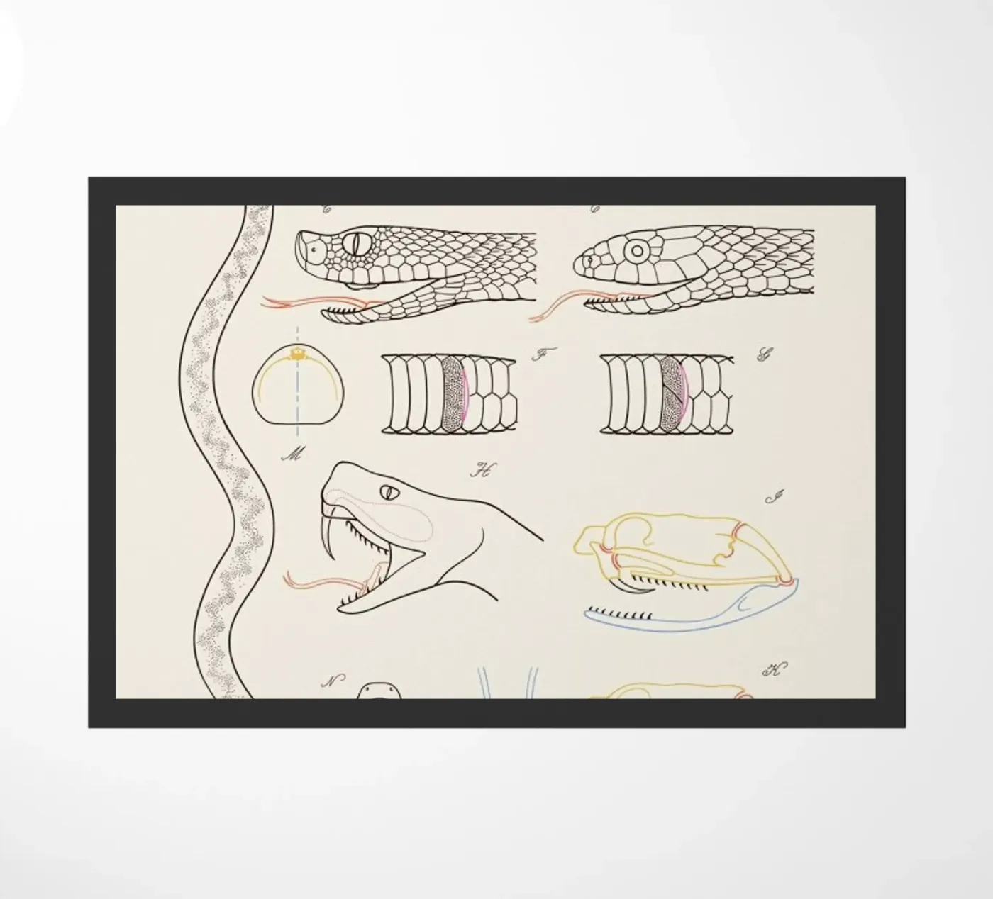 Serpent doormat by Astër