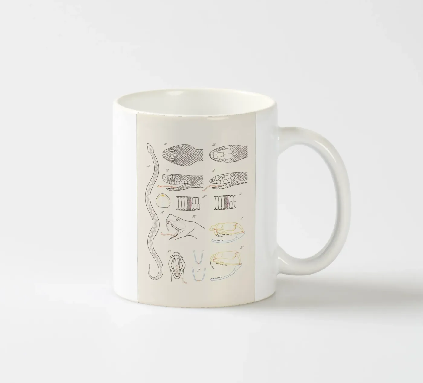 Serpent ceramic mug by Astër