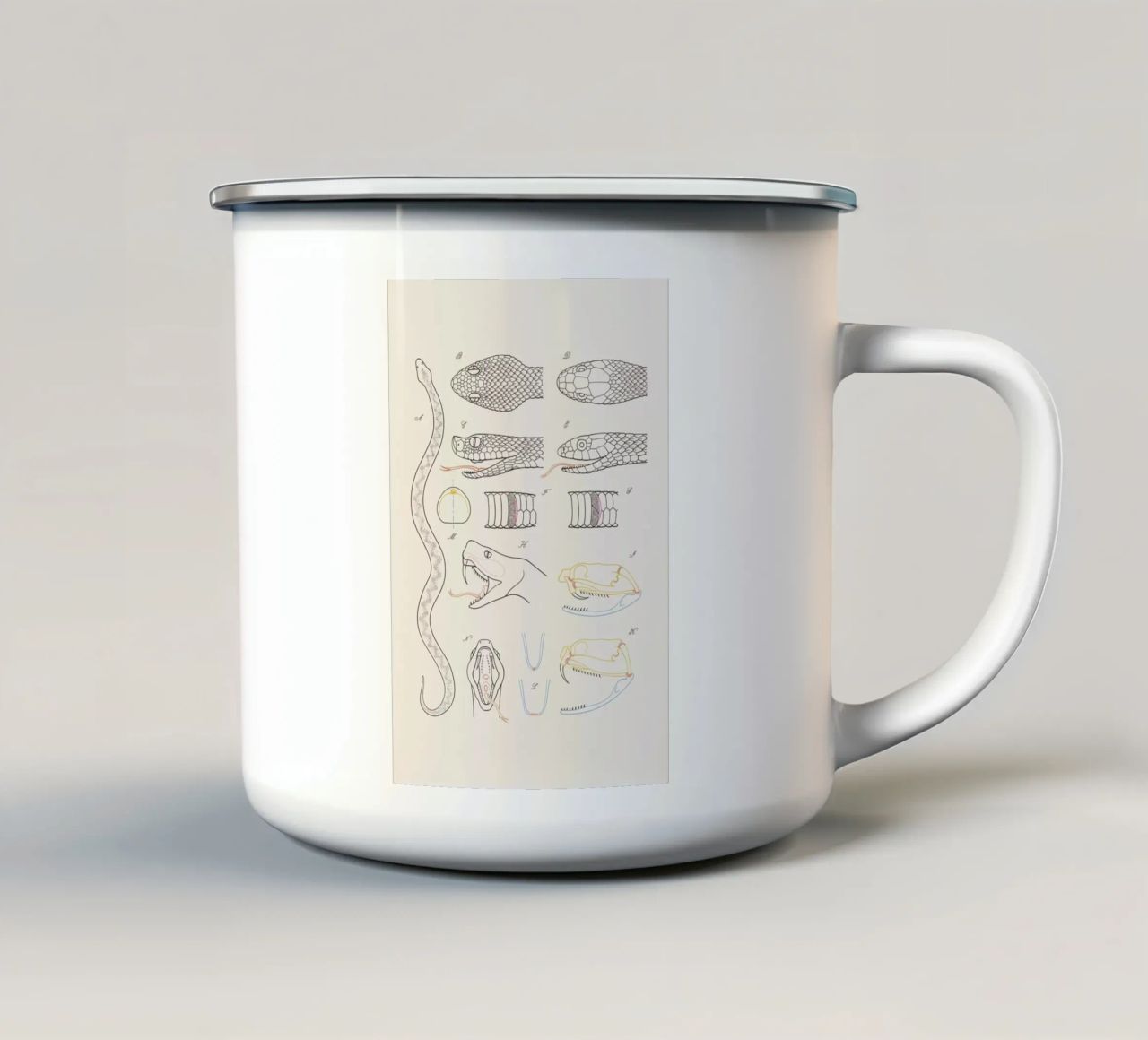 Serpent tazza in smalto da Astër