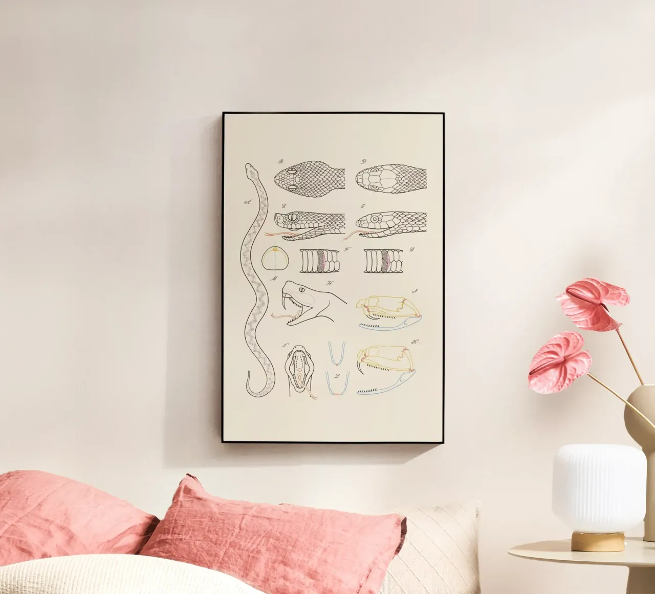 Serpent plexiglass da Astër