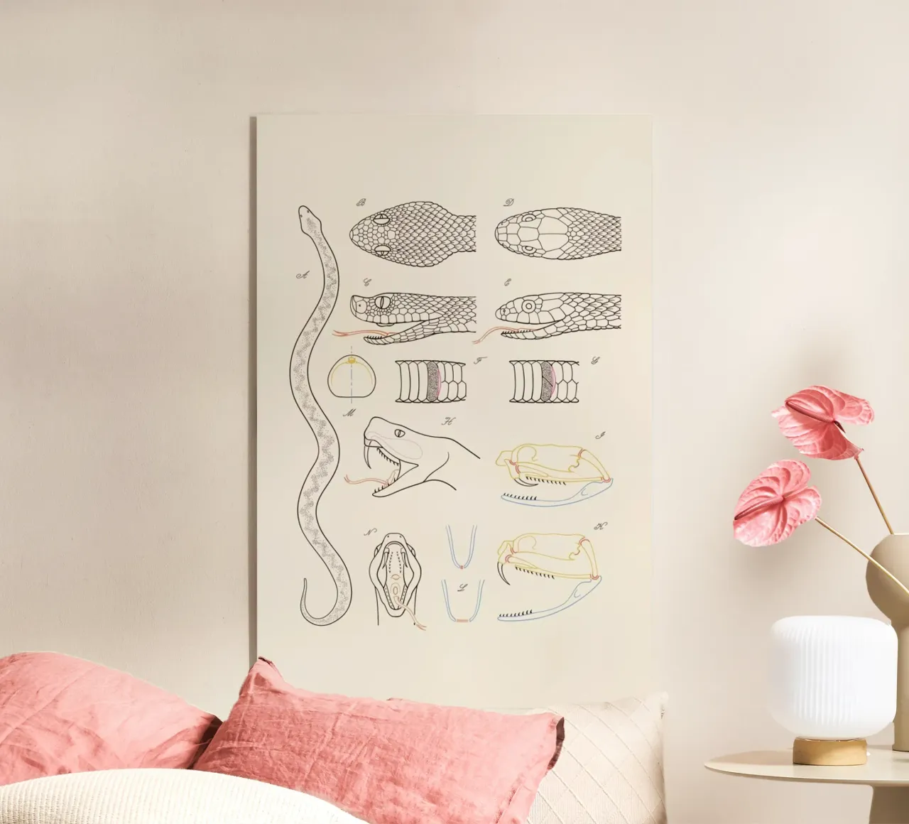 Serpent plexiglass da Astër