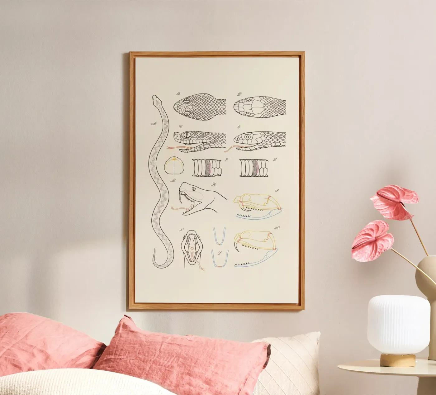 Serpent forex plate by Astër