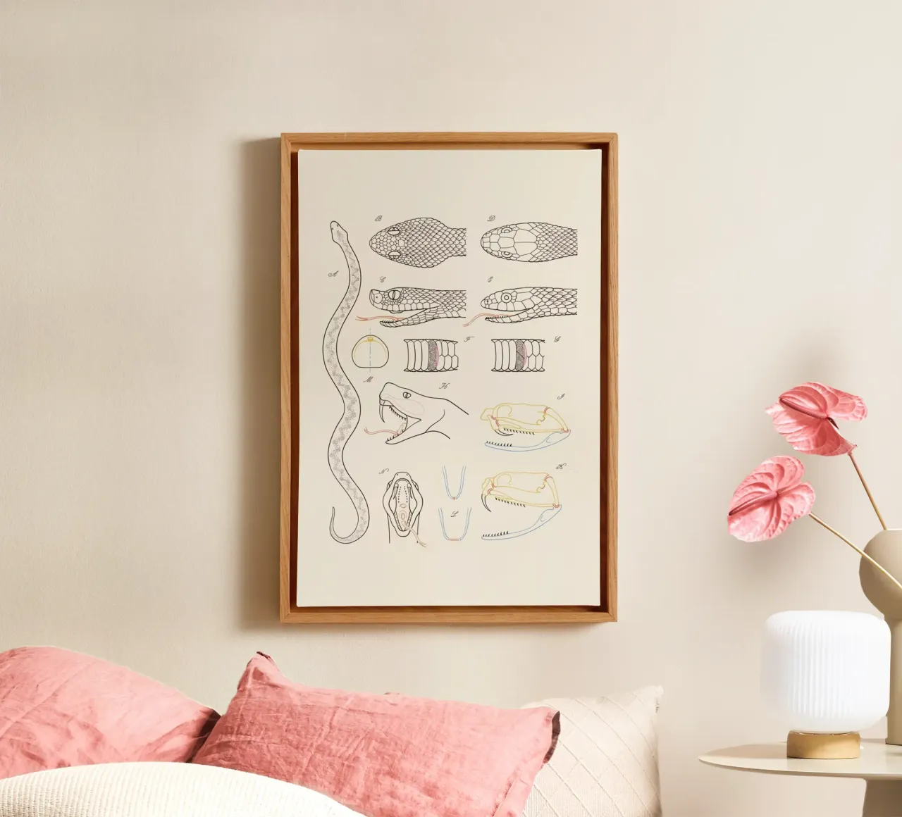 Serpent tela da Astër