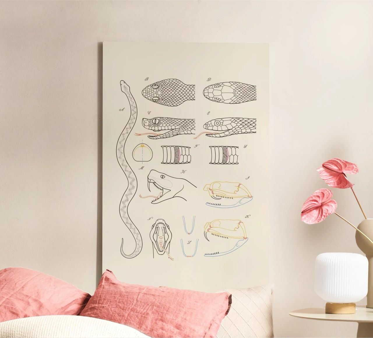 Serpent toile de Astër