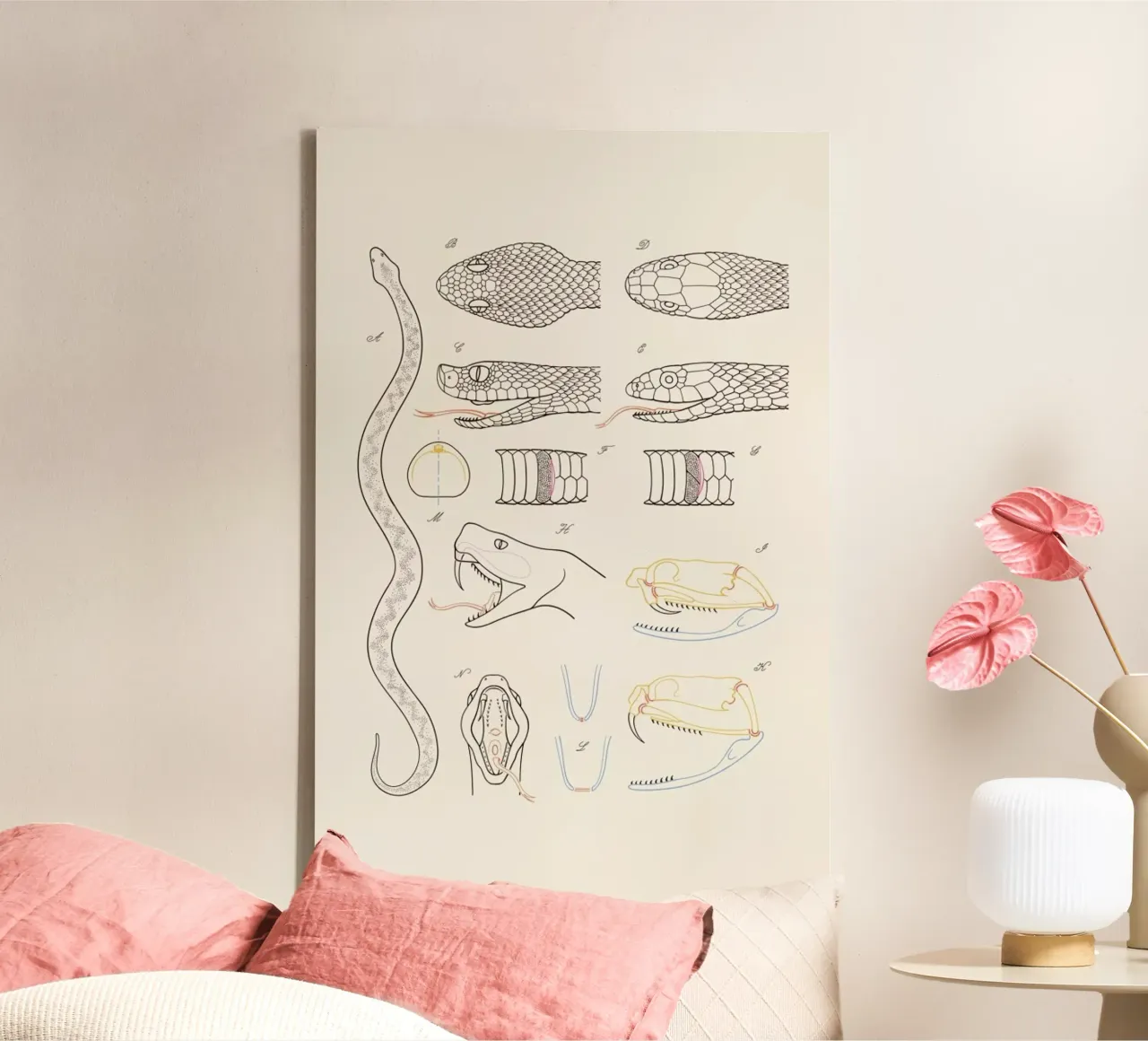 Serpent tela da Astër