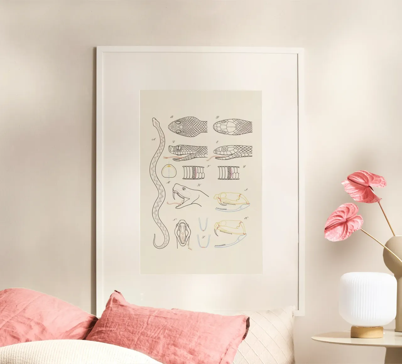 Serpent poster con telaio in legno da Astër