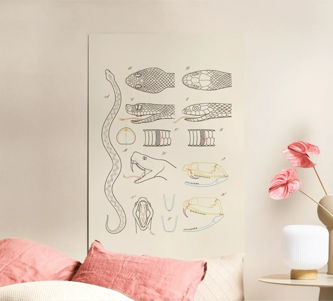 Serpent poster con telaio in legno da Astër