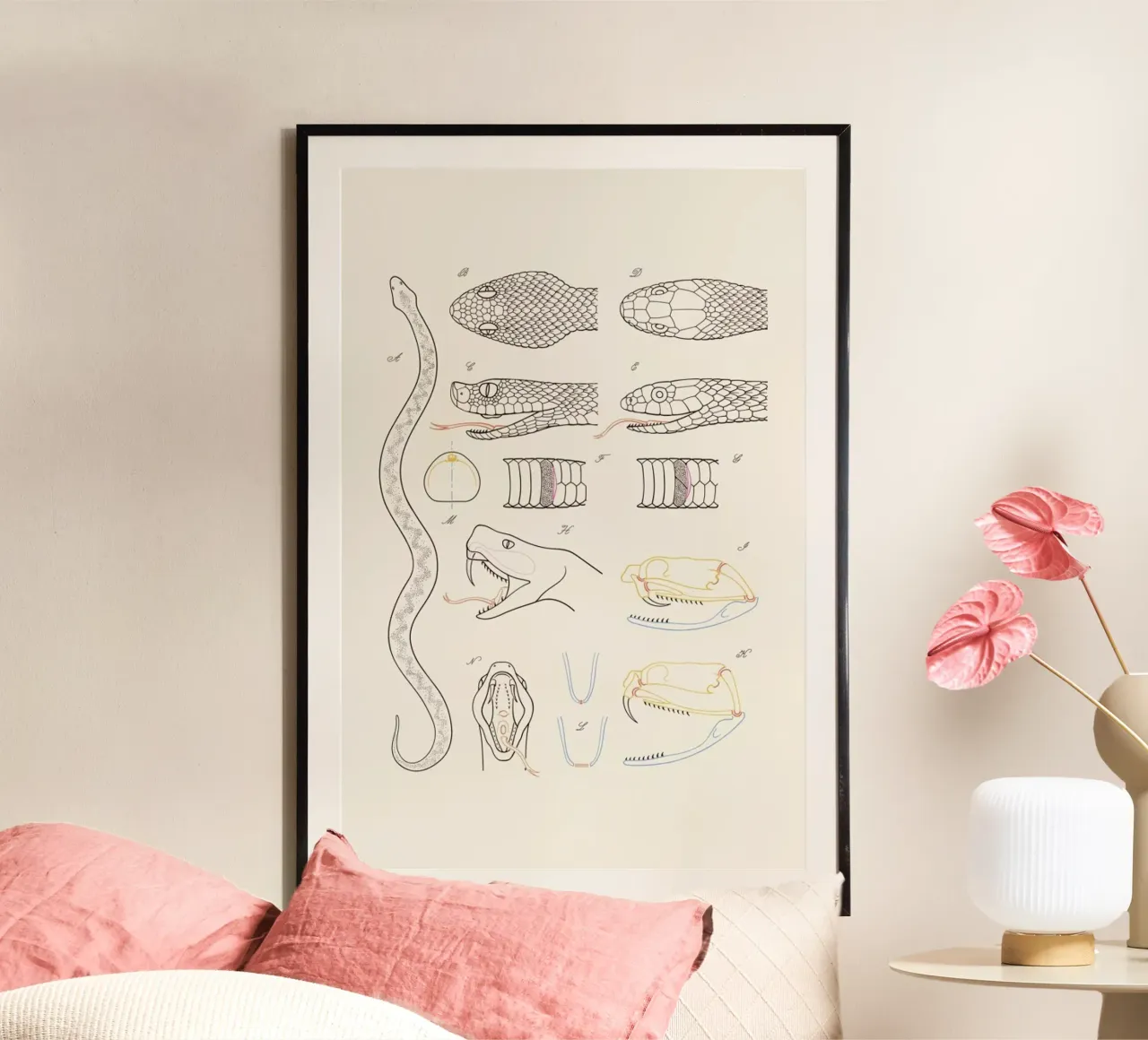 Serpent poster con telaio in legno da Astër