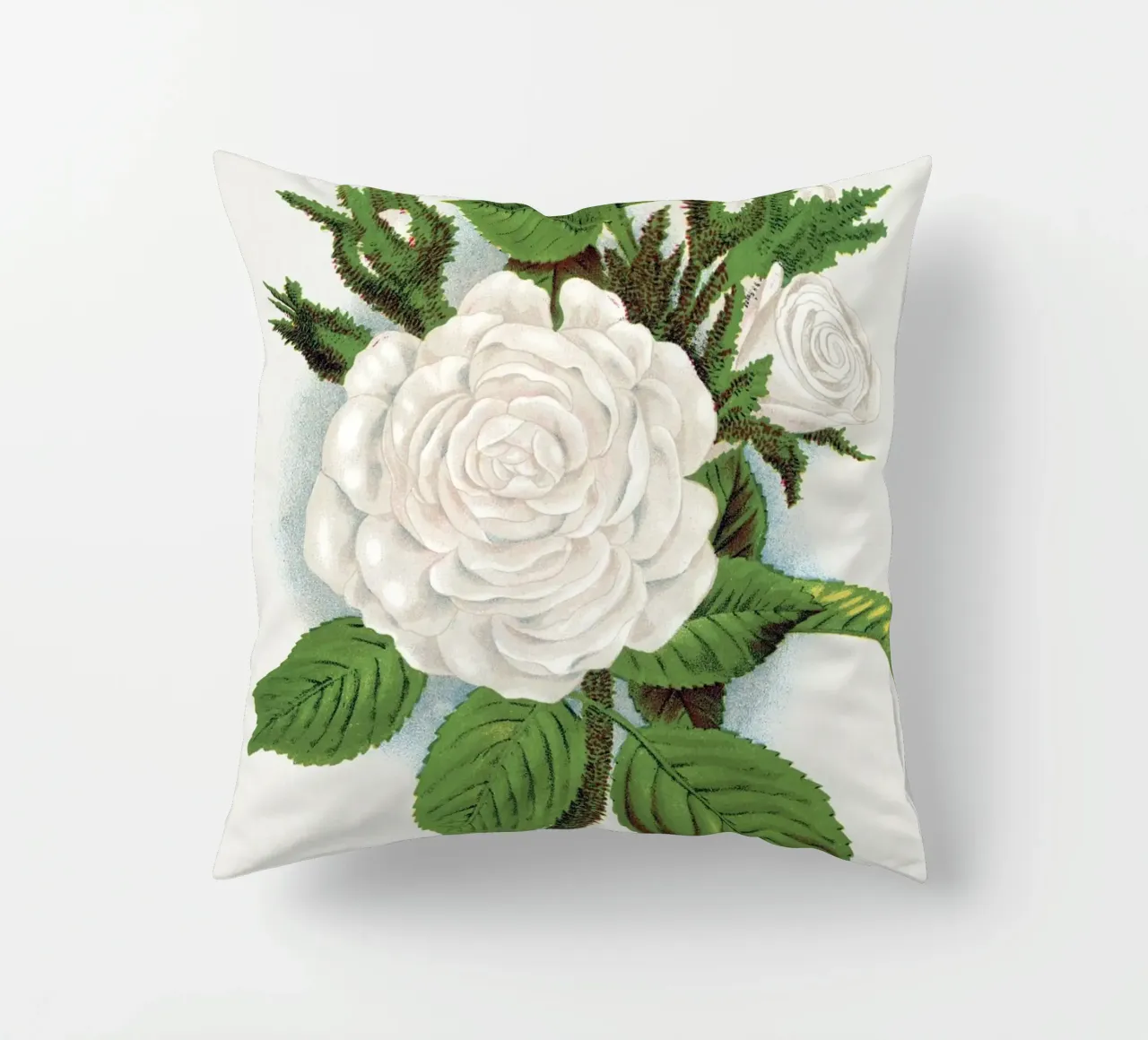 Rose, Perpetual White Moss cuscino da vintageshop
