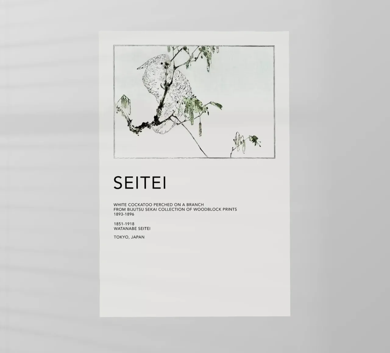 Seitei - White Cockatoo Perched on a Branch pellicola backlit da Vintage by JUNIQE