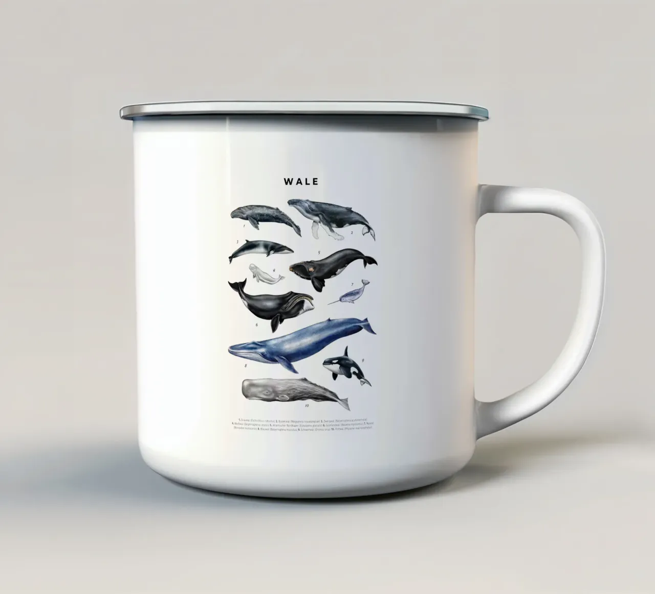 Wale & Delfine Nr.02 • Arten entdecken Lernbild Illustration tazza in smalto da Moonlit Illustrations