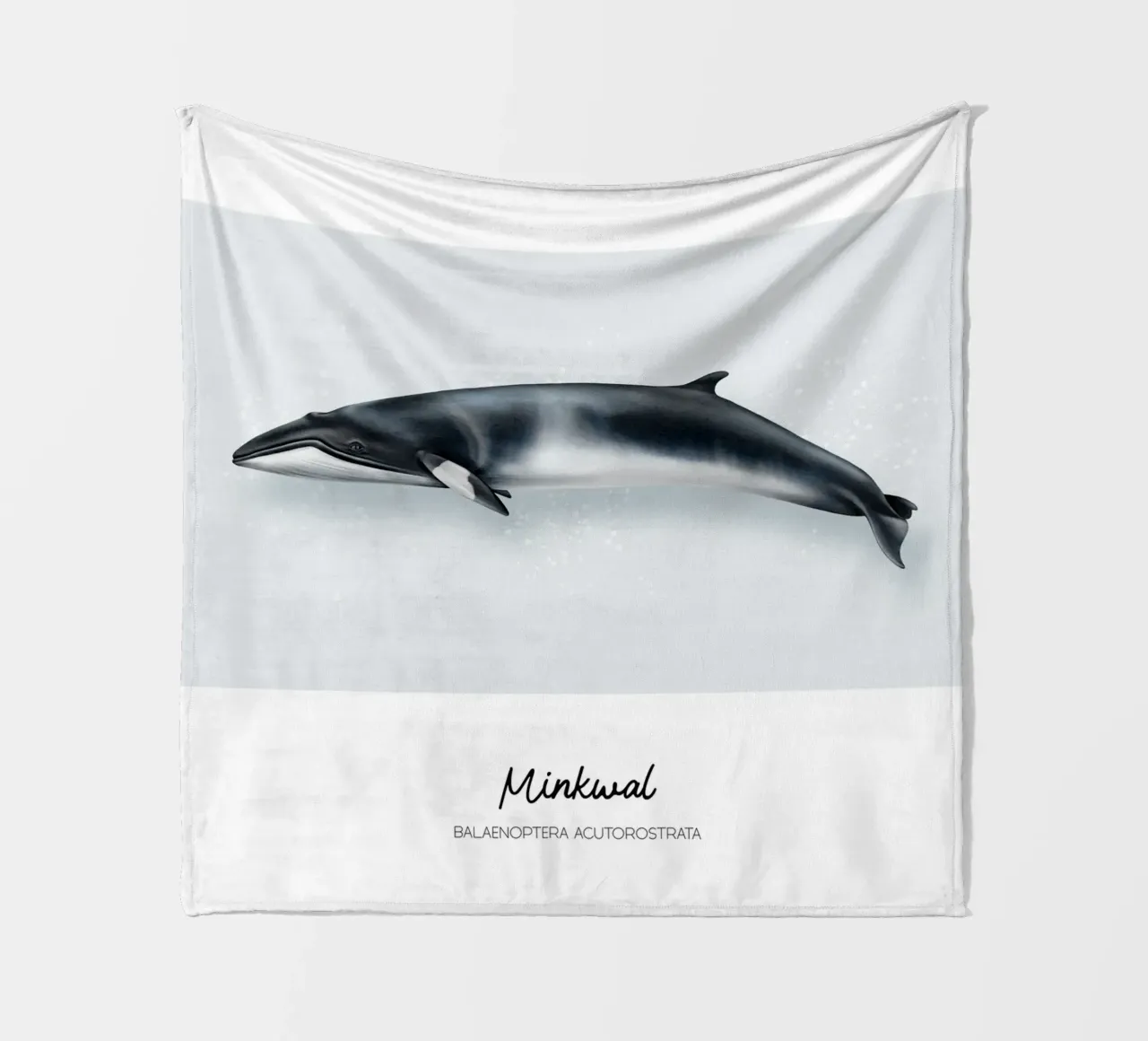Minkwal (Zwergwal) • Wale & Delfine Illustration coperta in pile da Moonlit Illustrations