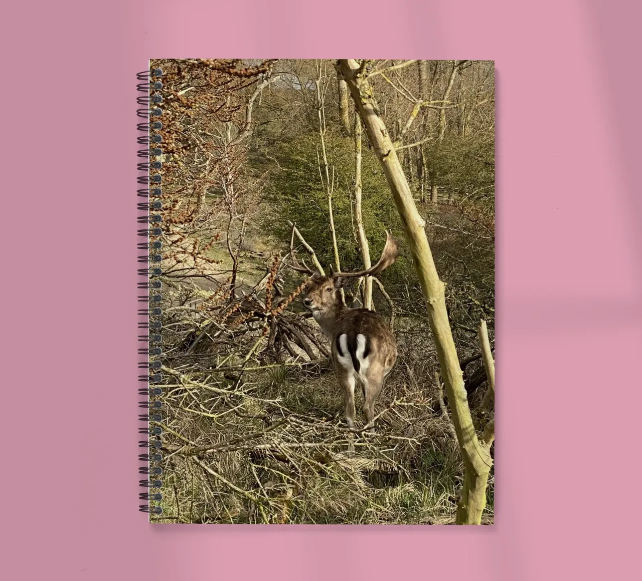 Hirsche in freier Wildbahn Ringbuch von RealLifeMoments