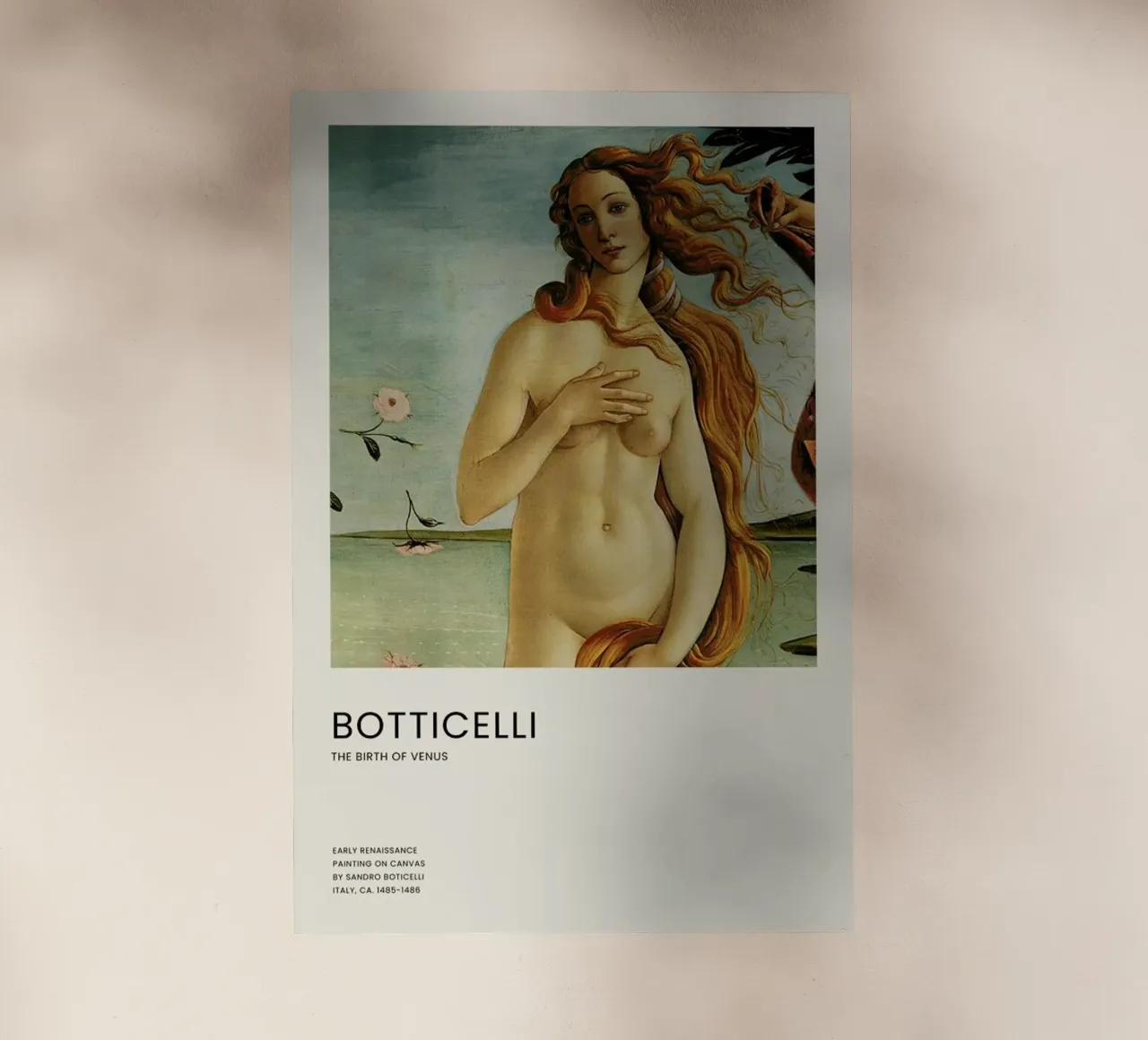 Botticelli - The Birth of Venus Close pellicola backlit da Vintage by JUNIQE