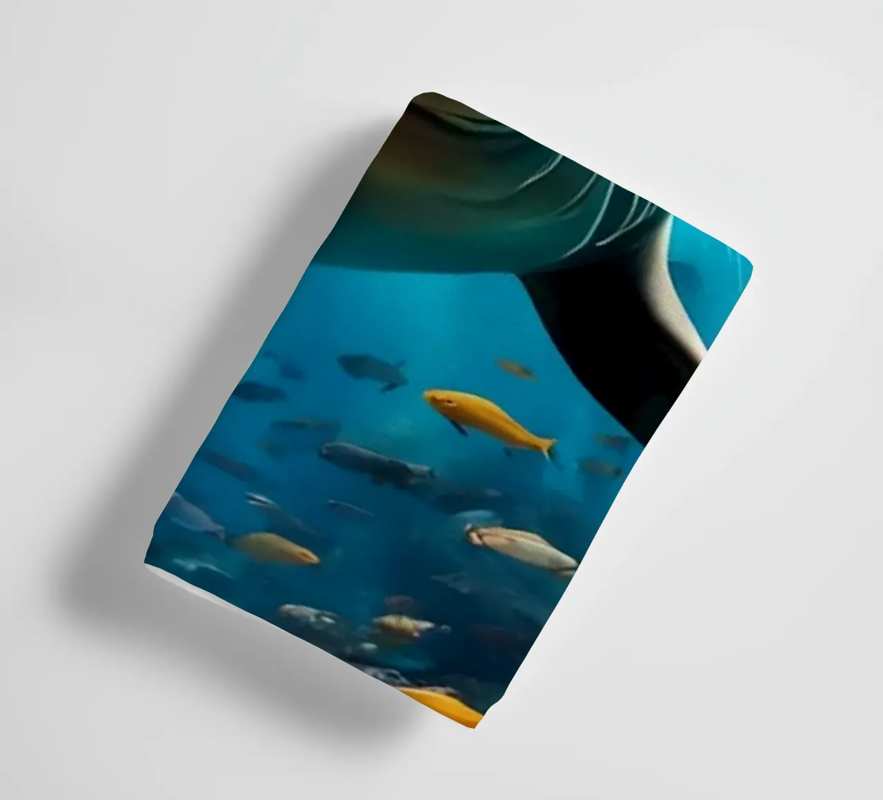Immersione di una foca tra pesci colorati asciugamano da bagno da Wild Beauty