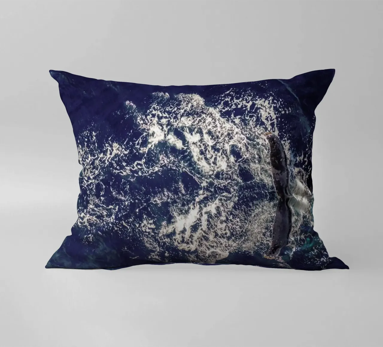 Whale cuscino da ROBERTO H