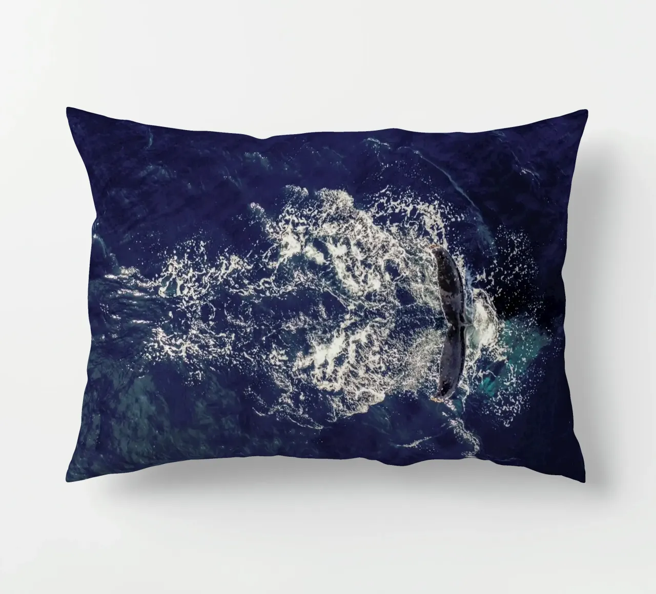 Whale cuscino da ROBERTO H