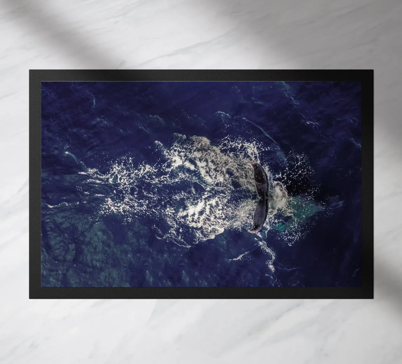 Whale zerbino da ROBERTO H