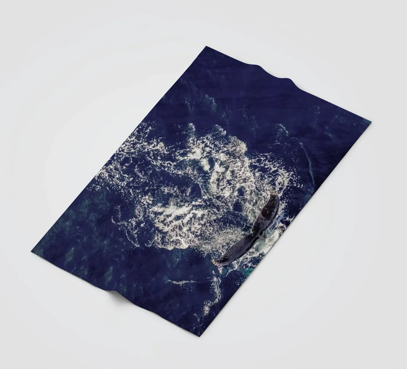 Whale Fleecedecke von ROBERTO H