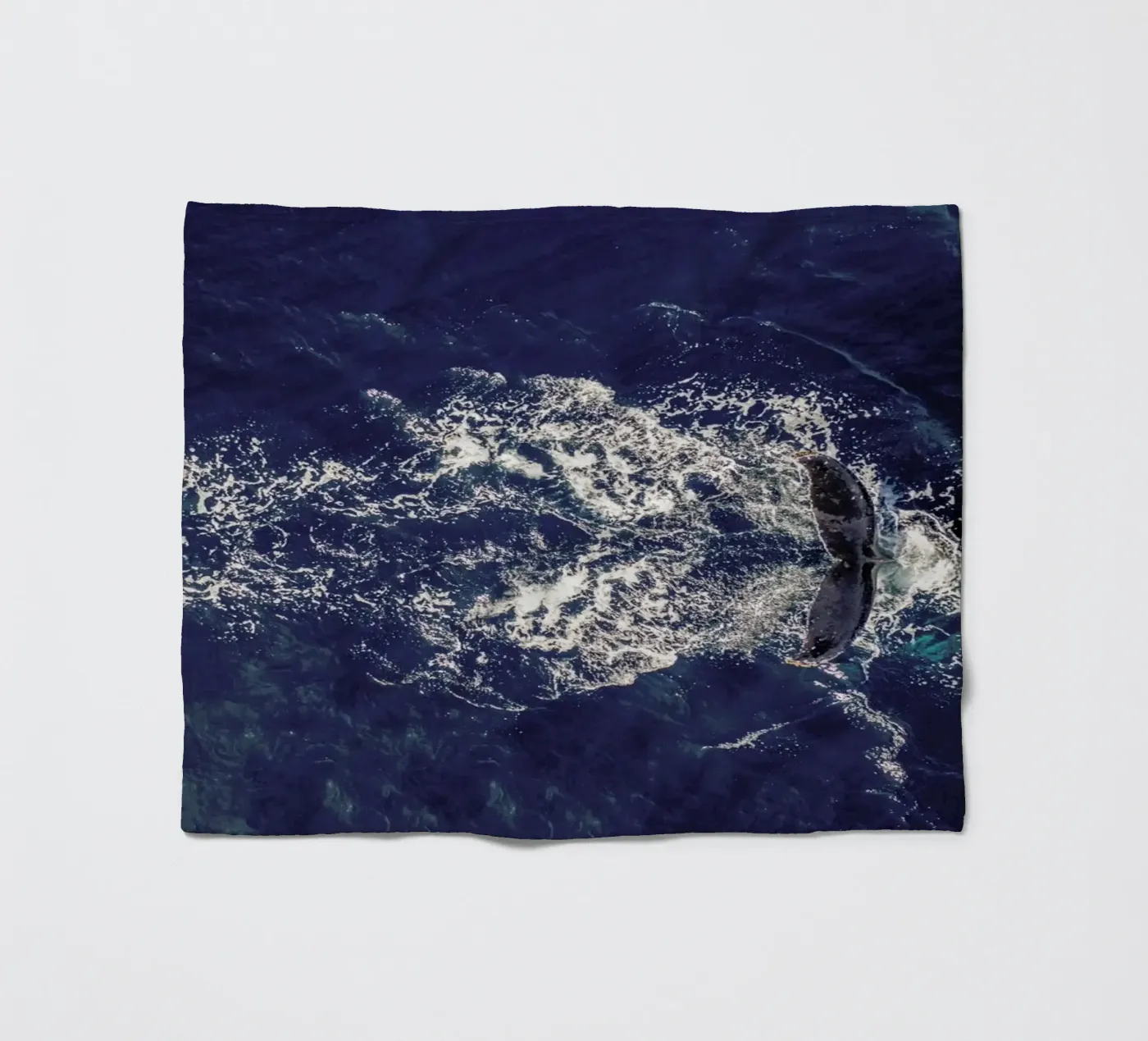Whale Fleecedecke von ROBERTO H