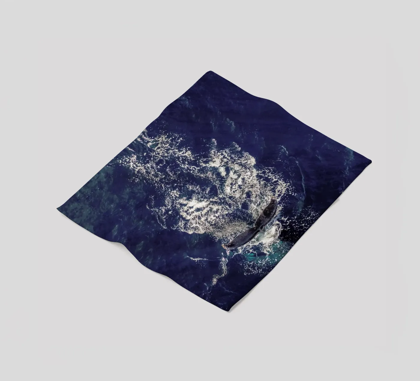 Whale Fleecedecke von ROBERTO H