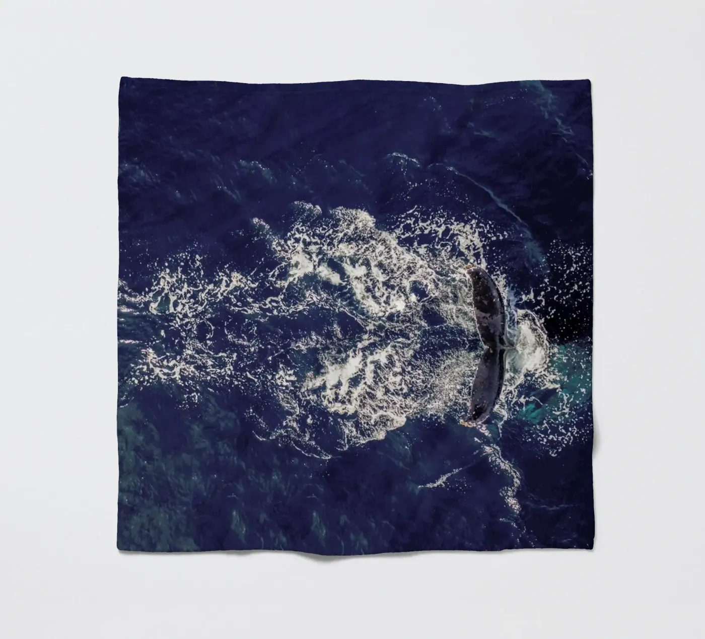 Whale Fleecedecke von ROBERTO H