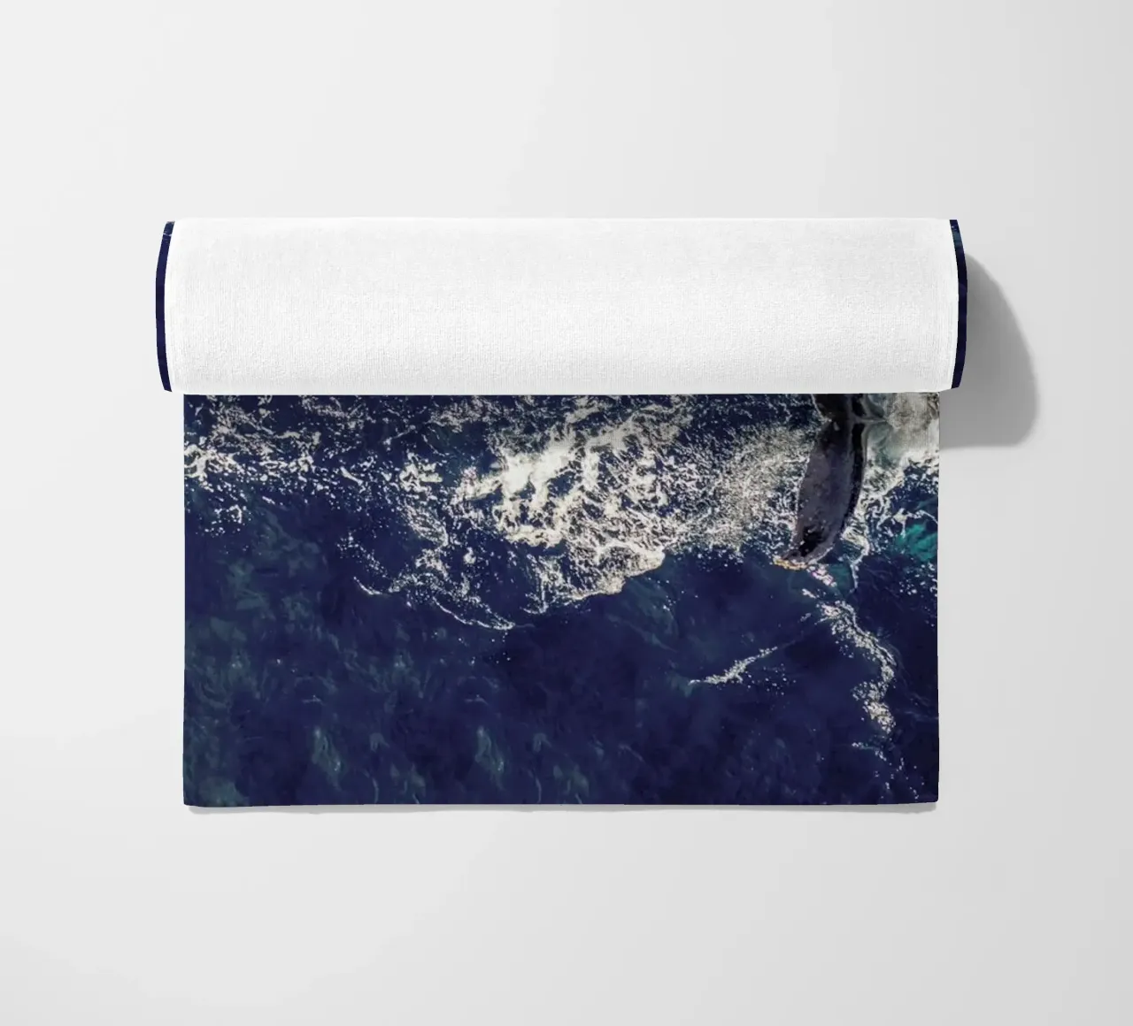 Whale telo mare da ROBERTO H