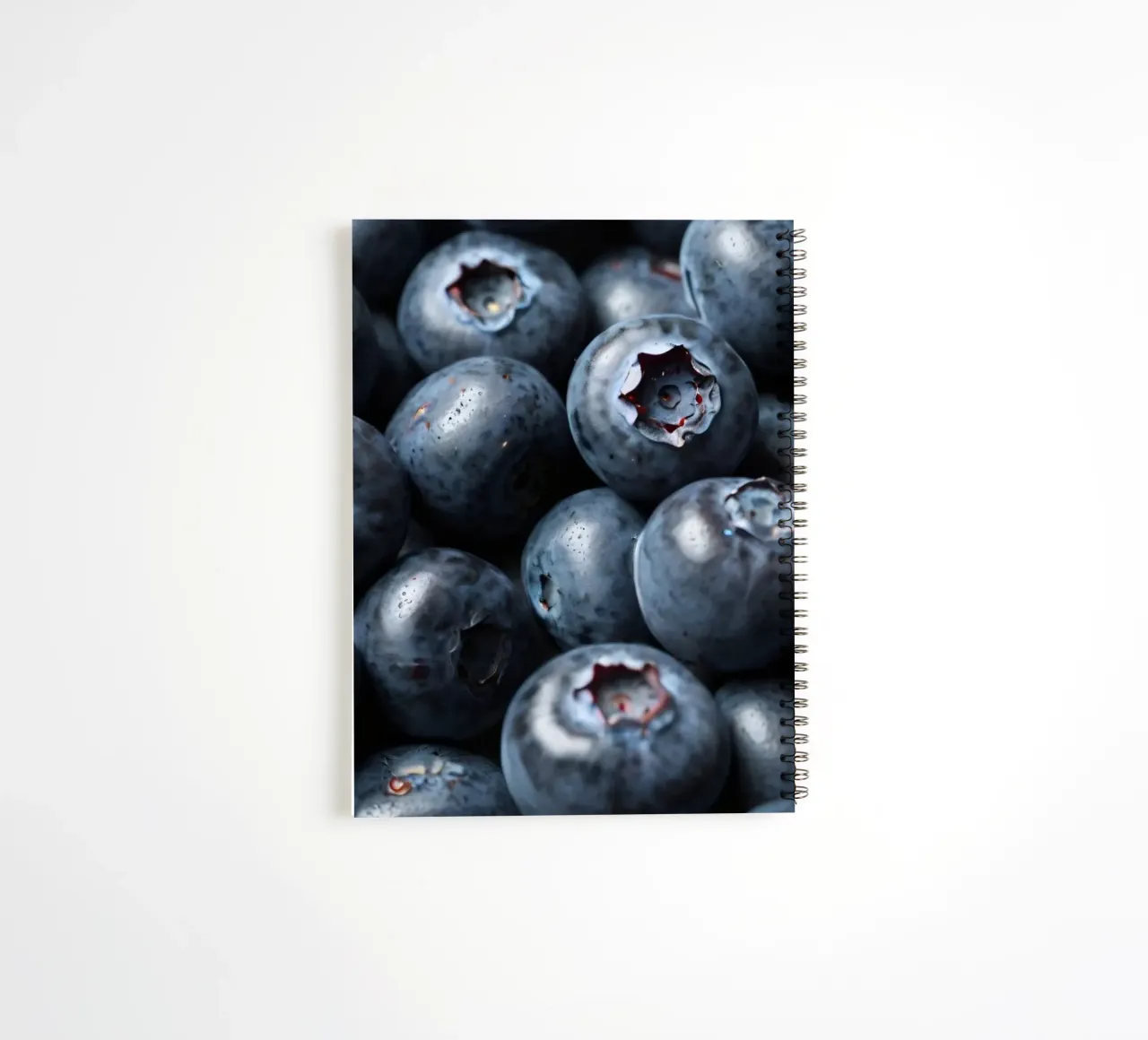 Mirtilli freschi raccolti in una fattoria locale diario ad anelli da DesignDoodle
