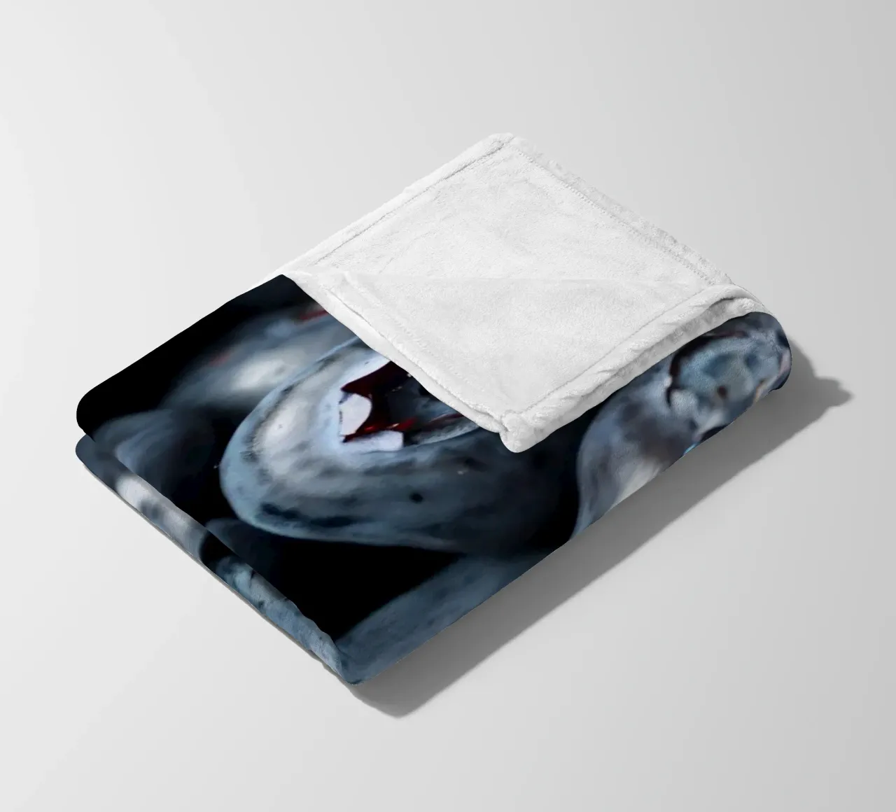 Mirtilli freschi raccolti in una fattoria locale coperta in pile da DesignDoodle