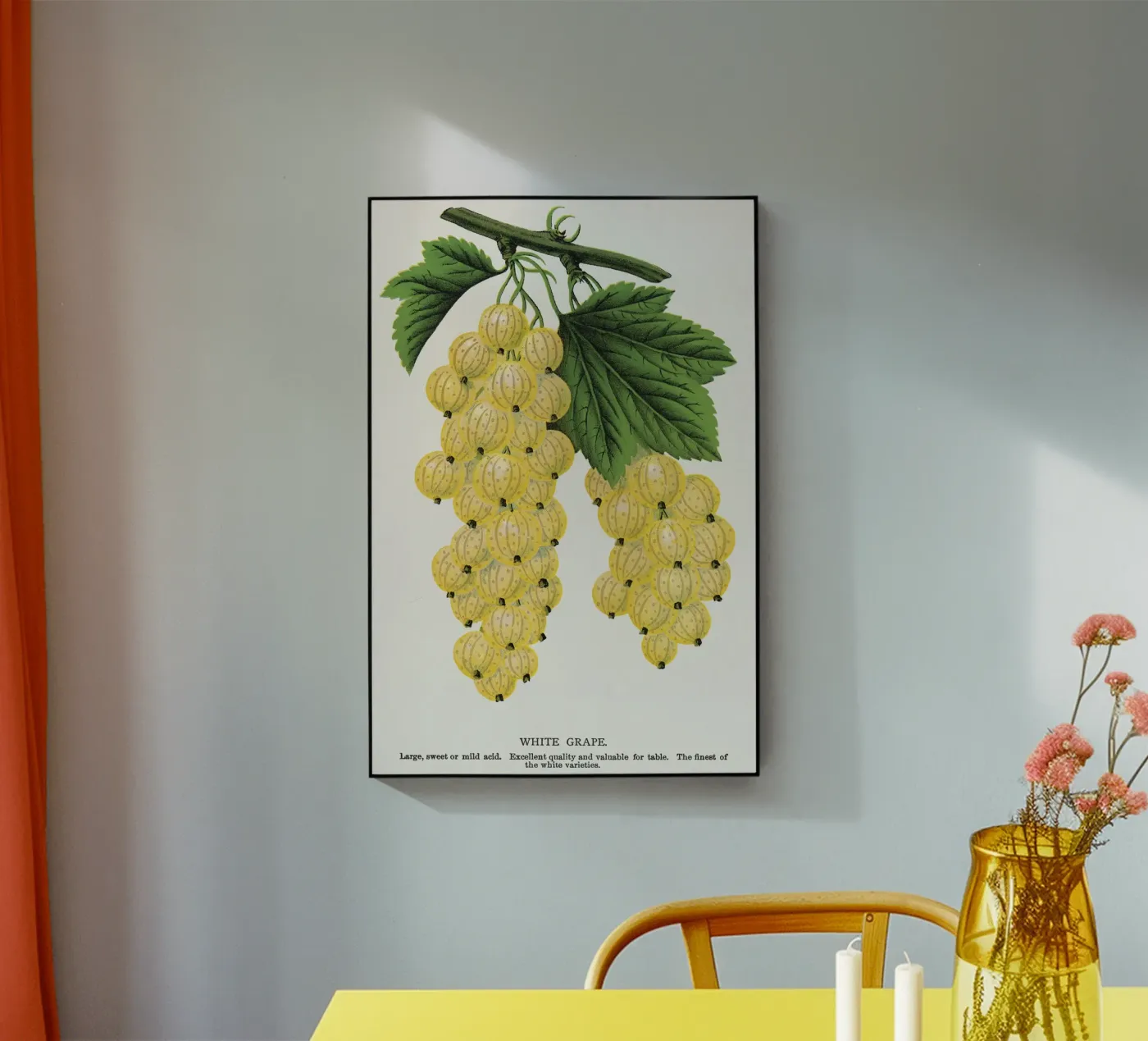 White grape plexiglass da vintageshop