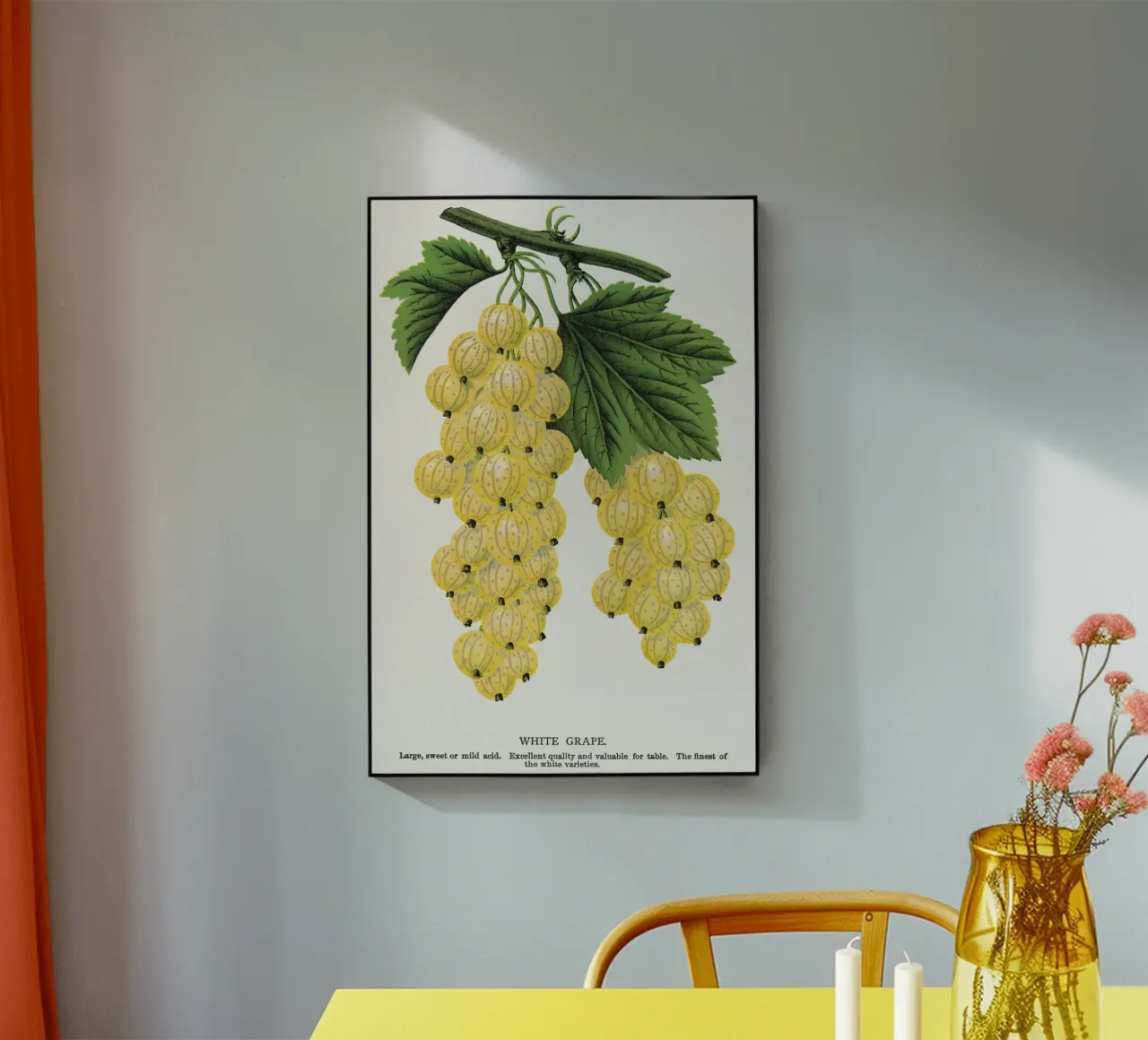 White grape plexiglass da vintageshop