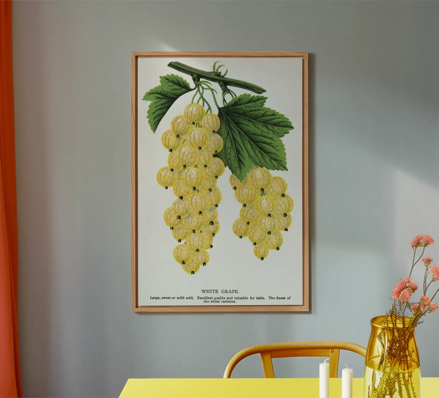 White grape pannello forex da vintageshop