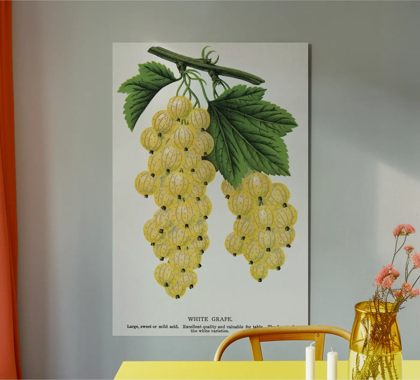 White grape pannello forex da vintageshop
