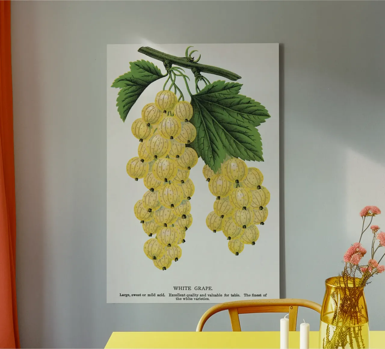 White grape tela con Cornice a cassetta da vintageshop