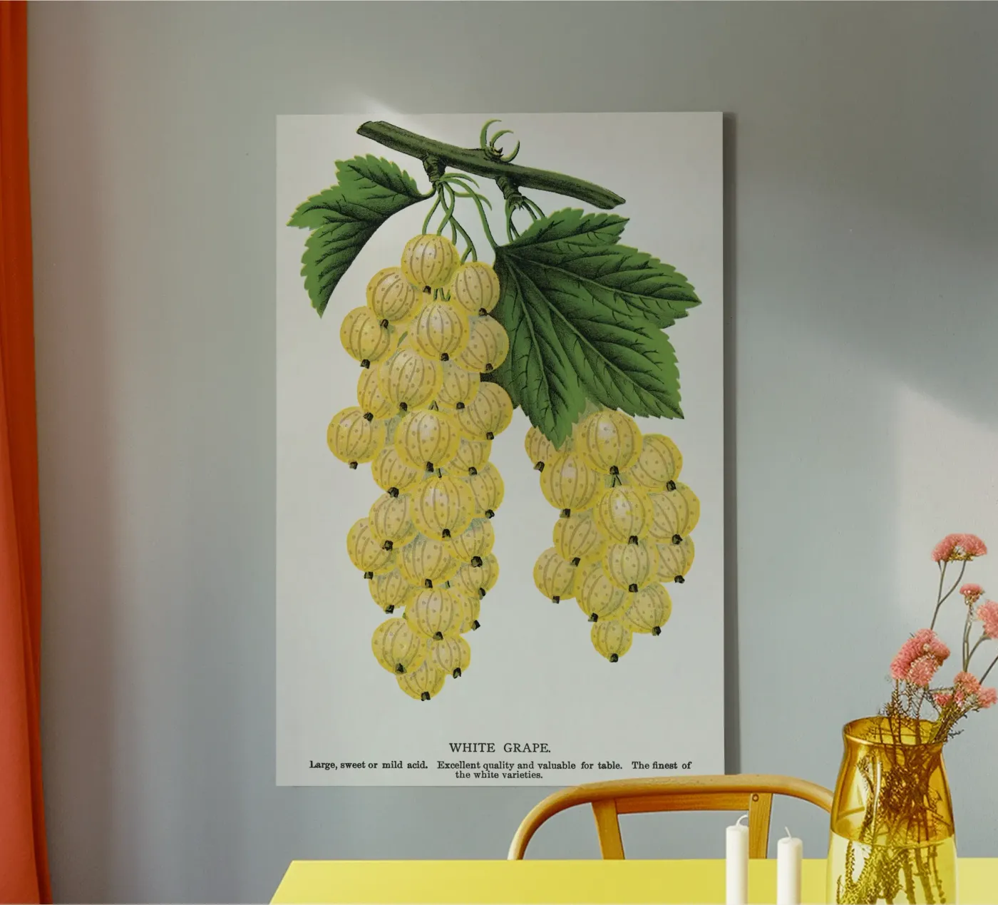 White grape tela da vintageshop