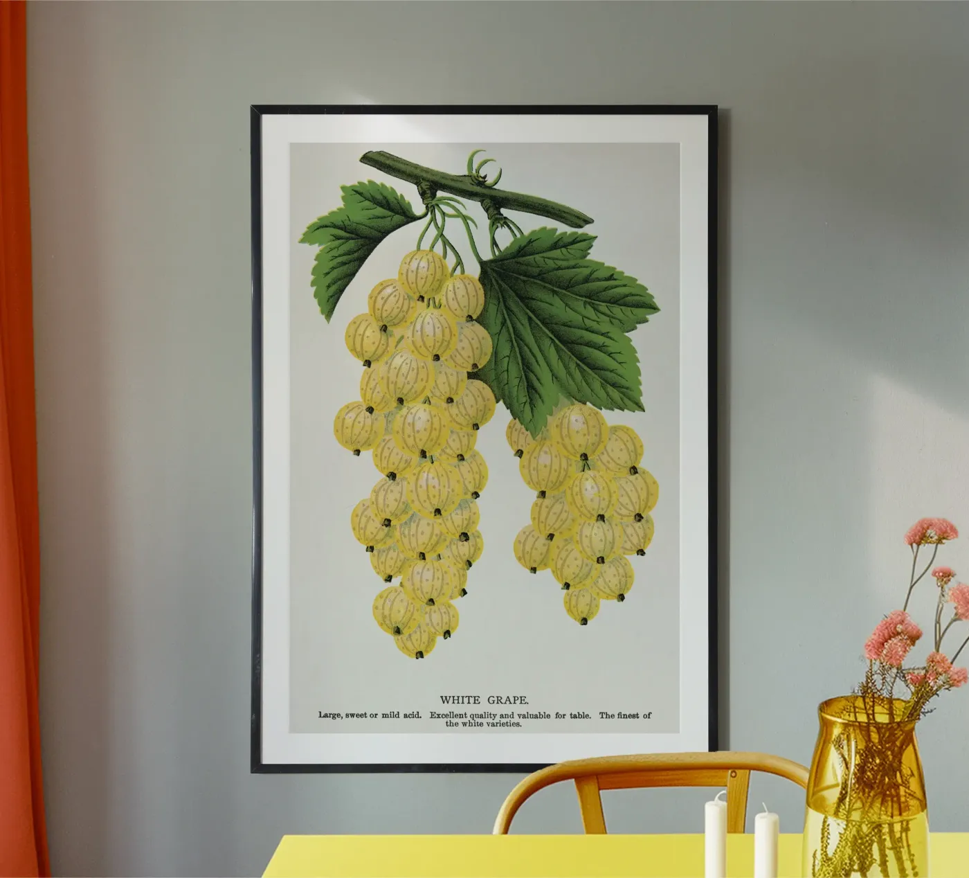 White grape Poster von vintageshop