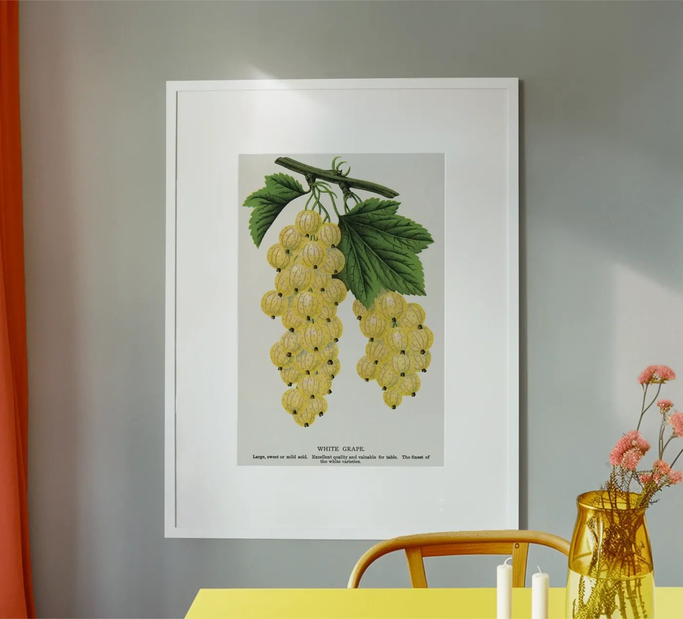 White grape Poster von vintageshop