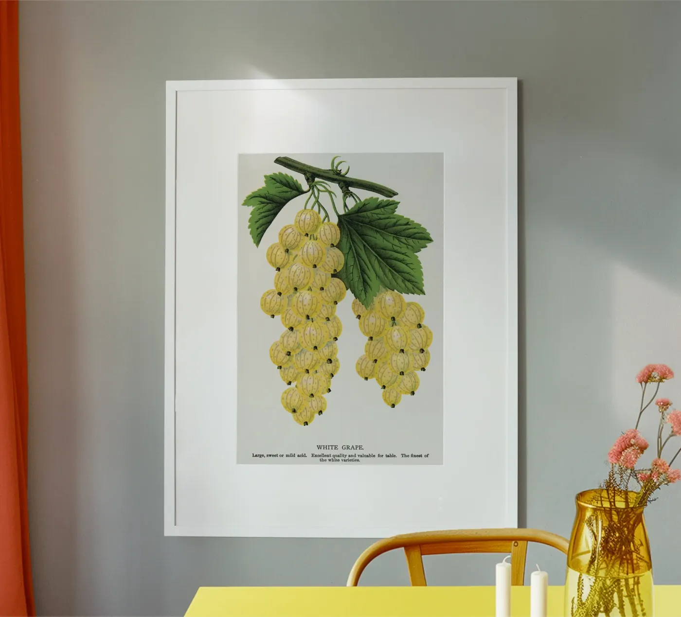 White grape Poster von vintageshop
