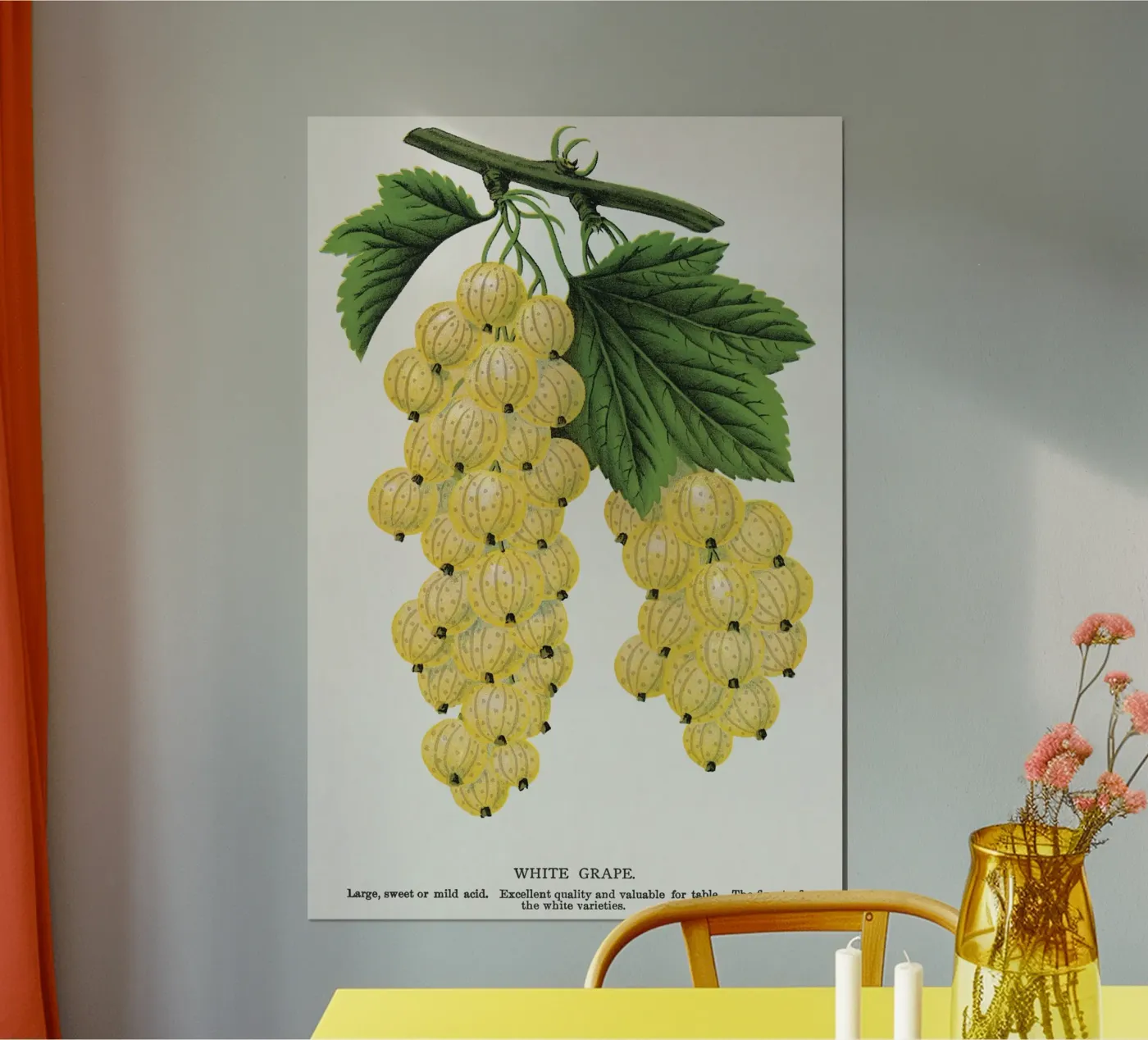 White grape Poster von vintageshop