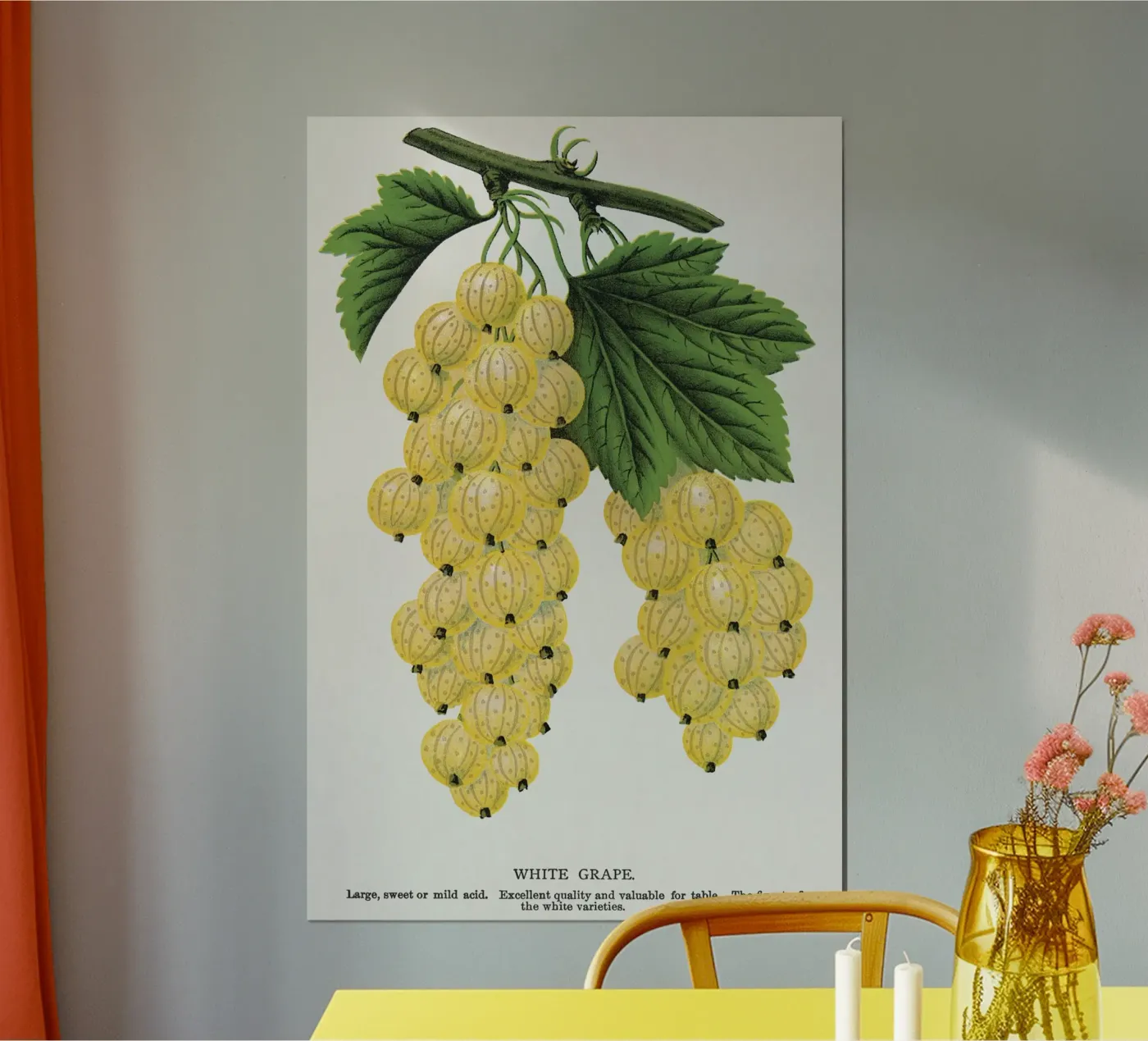 White grape Poster von vintageshop