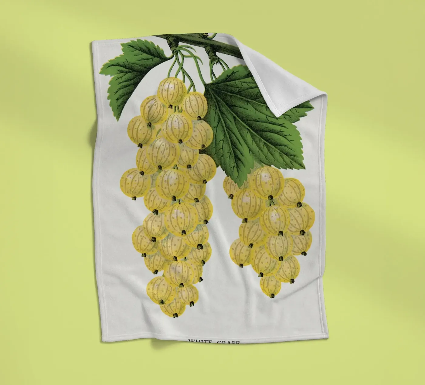 White grape Fleecedecke von vintageshop
