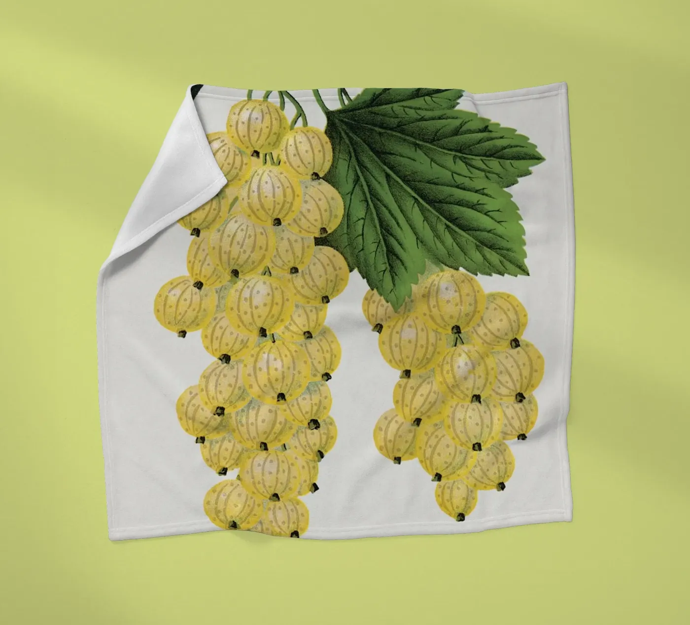 White grape Fleecedecke von vintageshop